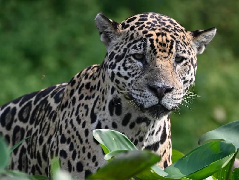 Brazil top country for best places to visit 2026