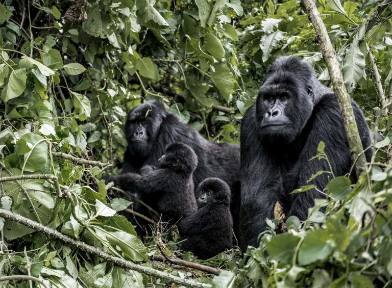 Top 25 Luxury Travel Experiences for 2025