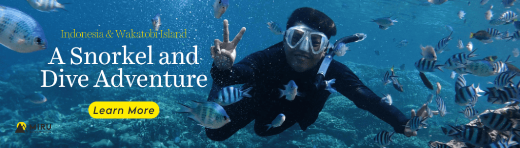 Wakatobi Snorkel Trip