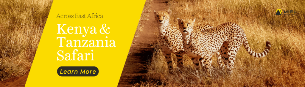 Kenya Tanzania Safari