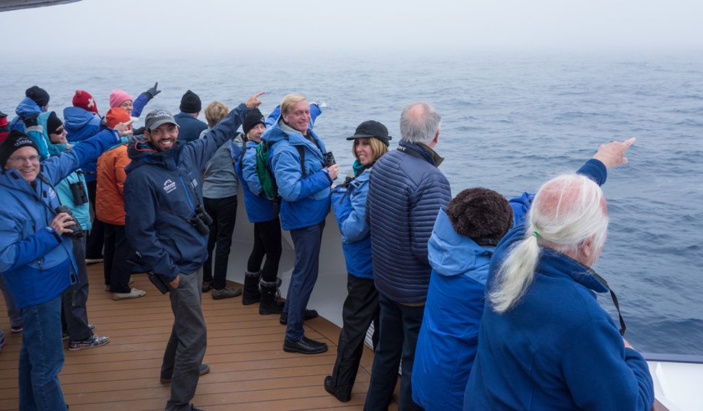 Travelers in cold-weather jackets stand on the deck of an expedition ship, pointing and observing wildlife in the ocean.