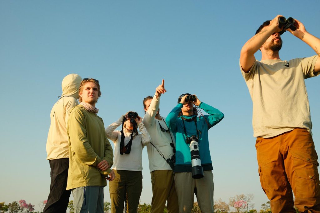 Participants observe wildlife through binoculars during a scholar-led field experience.